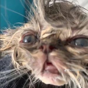 Meet your Posher, Nevaeh